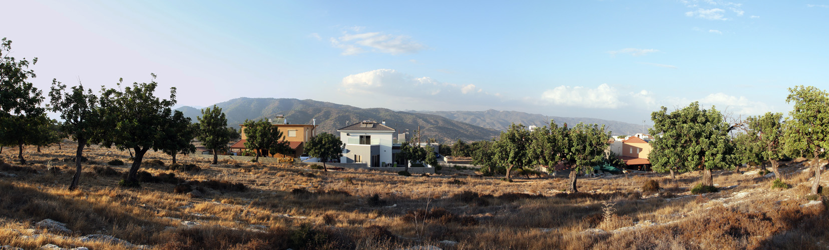 Panorama 2.jpg